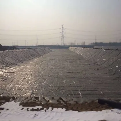 Black Geomembrane 1mm for Canal