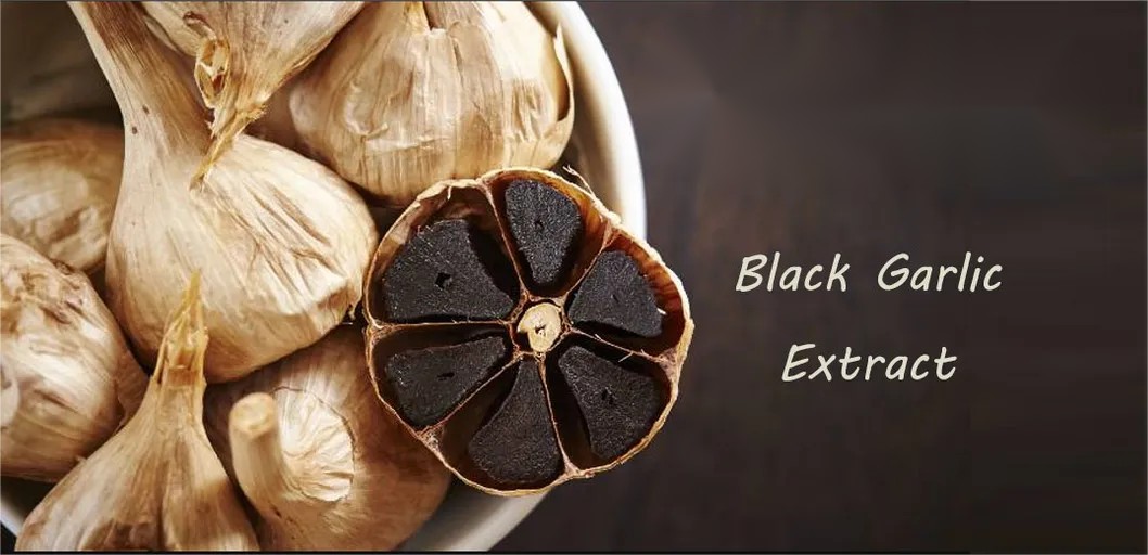 Black Garlic Extract (3)