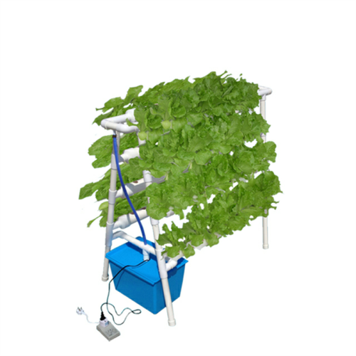Double side hydroponic system for planting vegetables