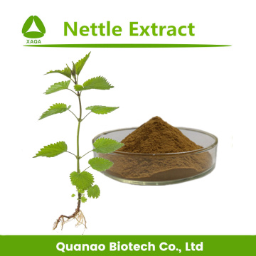 Nettle Leaf Extract Beta Sitosterol 1% Powder