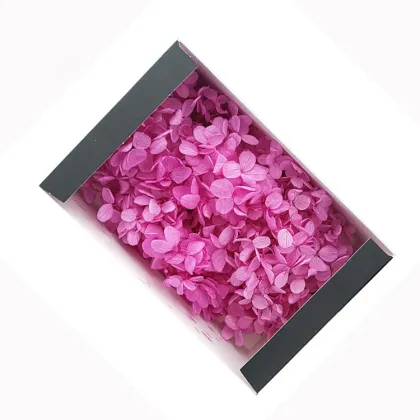 Kunming Fresh Cut Preserved Bicolor Hydrangea Flowers