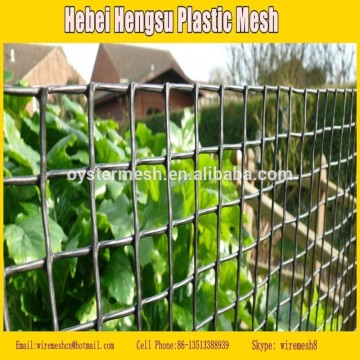 hdpe Square Garden mesh / Green HDPE Garden Mesh Fencing