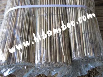 Popular reed fencing