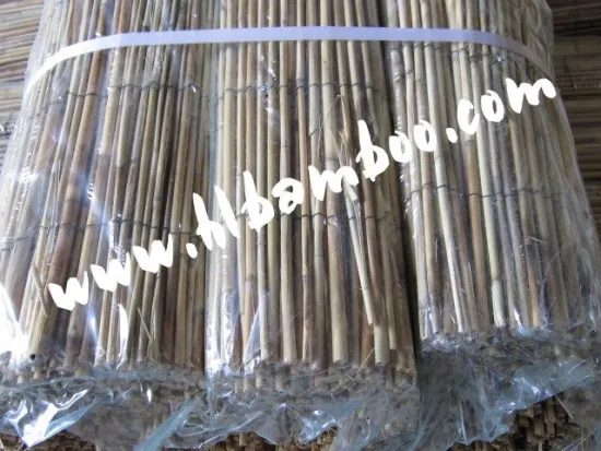 Popular reed fencing