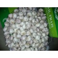 /msite/products/detail/productid/57587777/id/573198.html