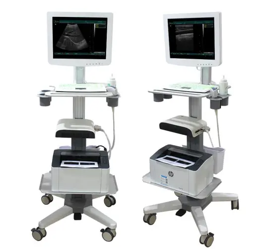 3D Ultrasound Scanner Machine-- SS-100 Touch screen