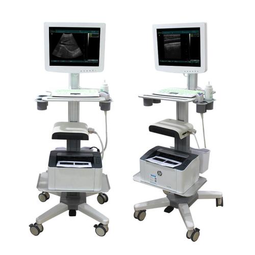 Touch Screen 3D Ultrassom Scanner Machine-- SS-100