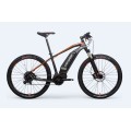 Bester Preis ebike ohne Gas