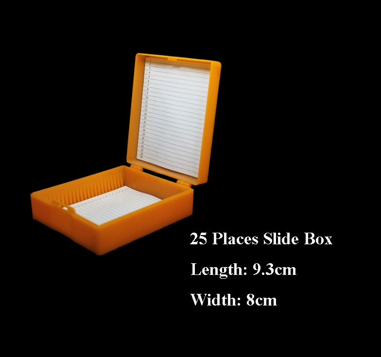 25 Plätze Storage Microskop Dia Box