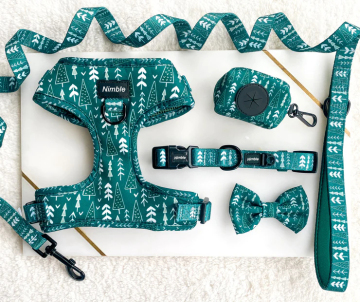 Ensemble de harnais populaire pour animaux de compagnie en néoprène avec col, laisse et accessoires assortis
