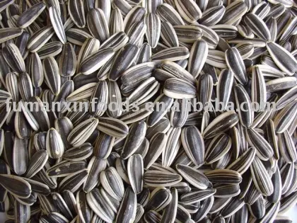sunflower seeds