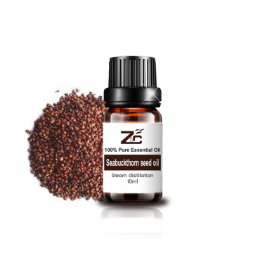 Laut Buckthorn Berry Oil Minyak Esensial Kualitas Tinggi