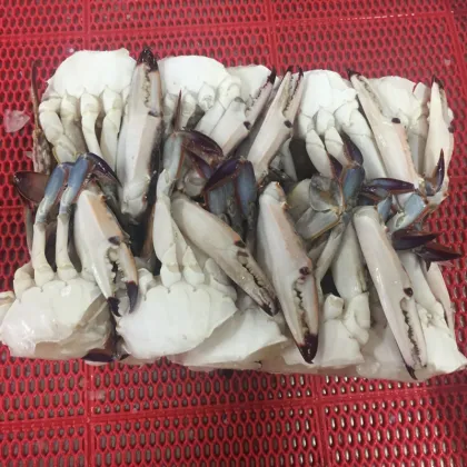 wholesale cut crab Fresh Frozen Crab BLUE CRAB Sales Price raw material block in stock
