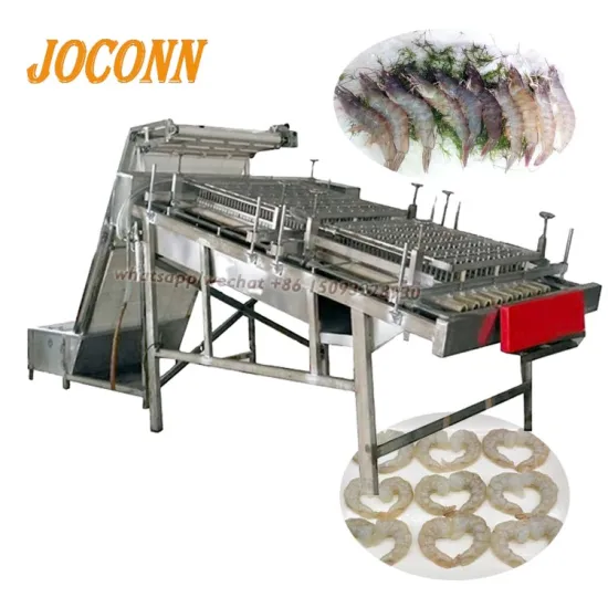 Fresh Seafood Processing: Prawn, Shrimp, and Lobster Peeling & Grading Machine