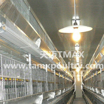 H Type Automatic Layer cage system