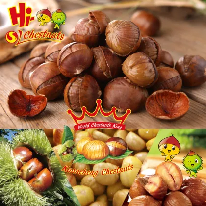 Halal Ringent Chestnuts Snacks Healthy Nuts Snacks