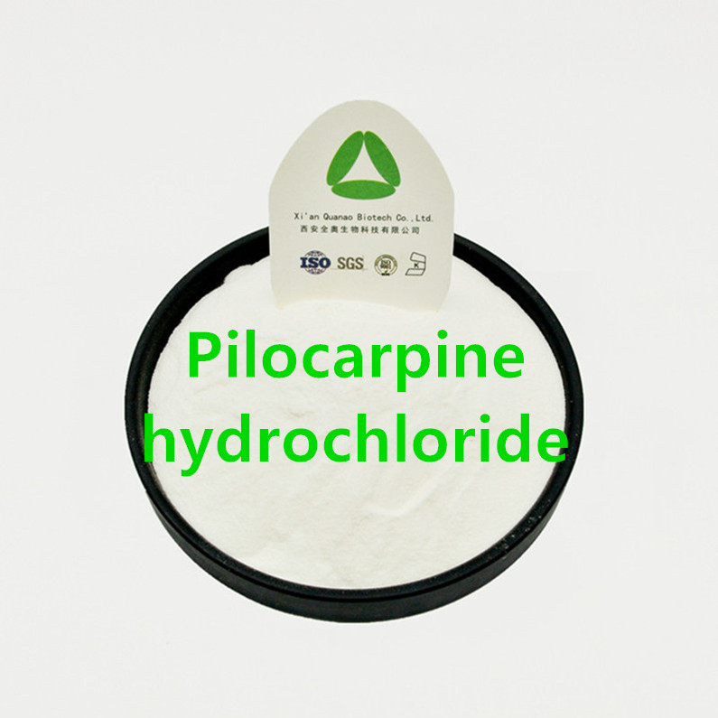 Poudre de chlorhydrate de pilocarpine CAS 54-71-7 Gouttes pour les yeux