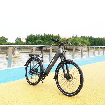 Radrunner Ebike Boxu 36V 250W: دراجة دفع عتيقة تم تحويلها إلى دراجة كهربائية مع البطارية والرف الخلفي