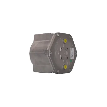 Pietro Fiorentini Gas Filters 106 Series 10604