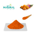 Best Quality Turmeric Root Extract Powder 95% Curcumin