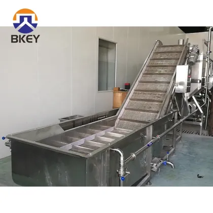 Tomatoes Carrot Vegetable Fruit Washing and Drying Machinery