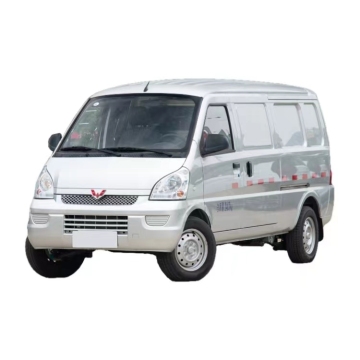 Erschwinglicher Wuling Rongguang Elektroman - 7 Sitzer und 2 Seetter Mini -Auto