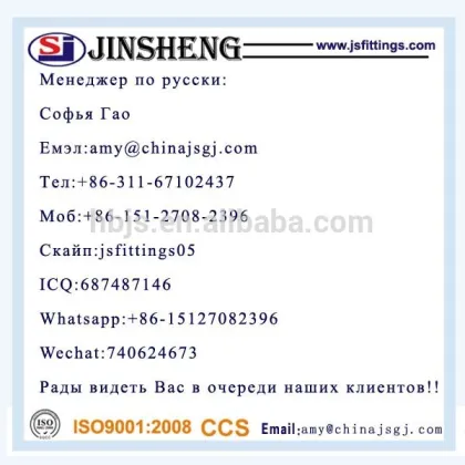 norm din carbon steel flange