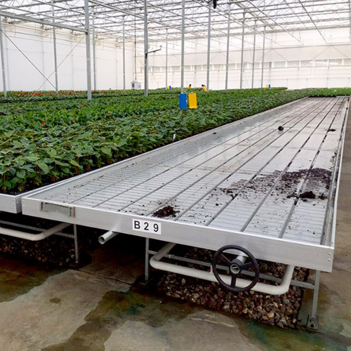 Ebb and Flow Hydroponic Farming Grow System