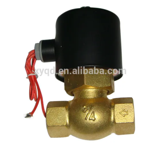 2W type two way DC24V/AC110V electric solenoid water valve