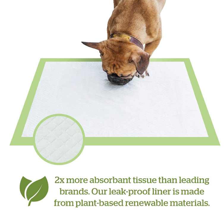 Earth-Friendly Puppy Pee Pad