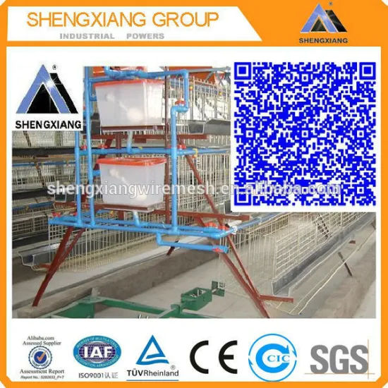 hot sales egg layer cage 20 years lifetime with Auto water system