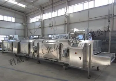 500kg/h tunnel quick freezer