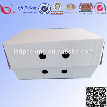 Frozen food packing corrugated carton box for delivery