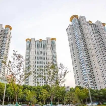 Shanghai Pudong Shengda Jinpan Japan Real Estate Rental