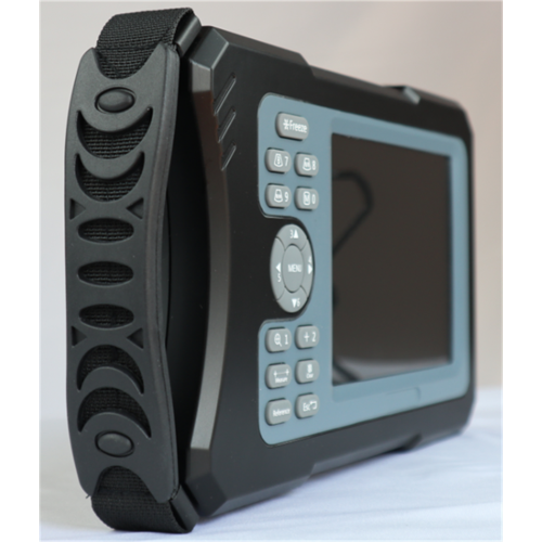 Digital Handheld Veterinary Ultrasound Machine for Cat