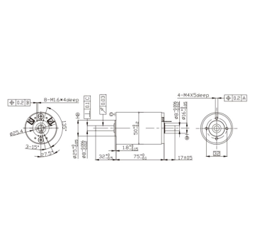 50 Carbon Brush DC Motor