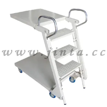 Step Ladder