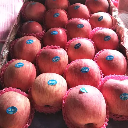crisp and sweet fresh delicious red apple supplier