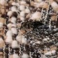 Vải pha trộn len Alpaca thời trang cao cấp