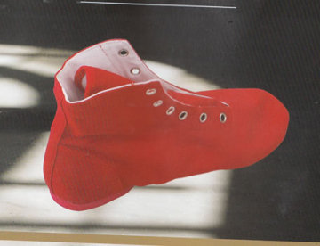 Ballet Shoes