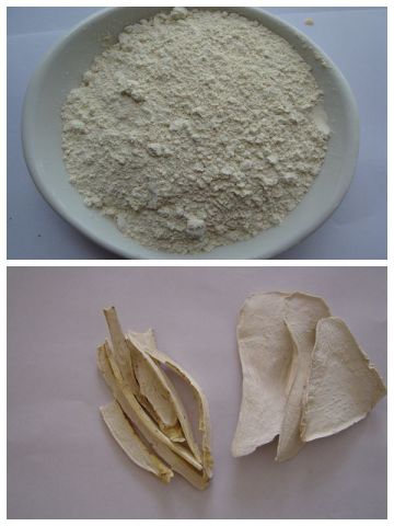 2014 crop horseradish powder dehydrated horseradish powder