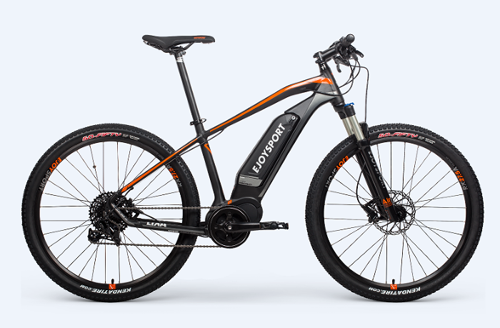 Customized Electric Bike For Men