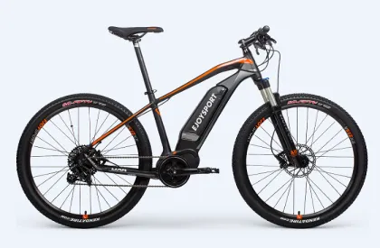 Customized Electric Cycle With Gear