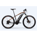 Customized Electric Bike For Men