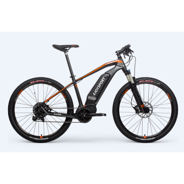 Customized Electric Cycle mit Zahnrad