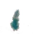 Hot Sale Colorful Dyed Pearl Chicken Feather