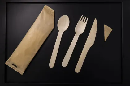 Disposable Aspen Wood Knife