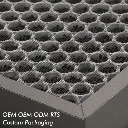 Hot Selling Air Purifier Parts: H12 H13 H14 Activated Carbon HEPA Filter Set for AIRMEGA Max2, Coway 400 400S (3111735)