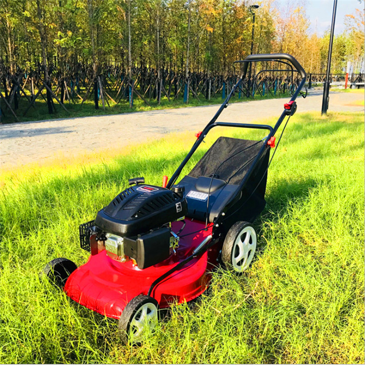 Farm Household Hand Pushed Cordless Lawn Gasoline Electric Mower