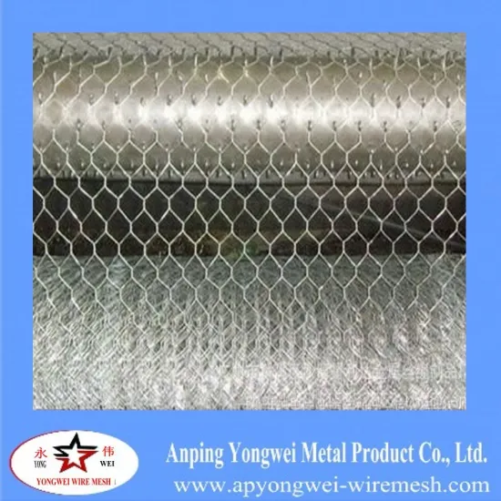 hexagonal wire mesh made in China An ping